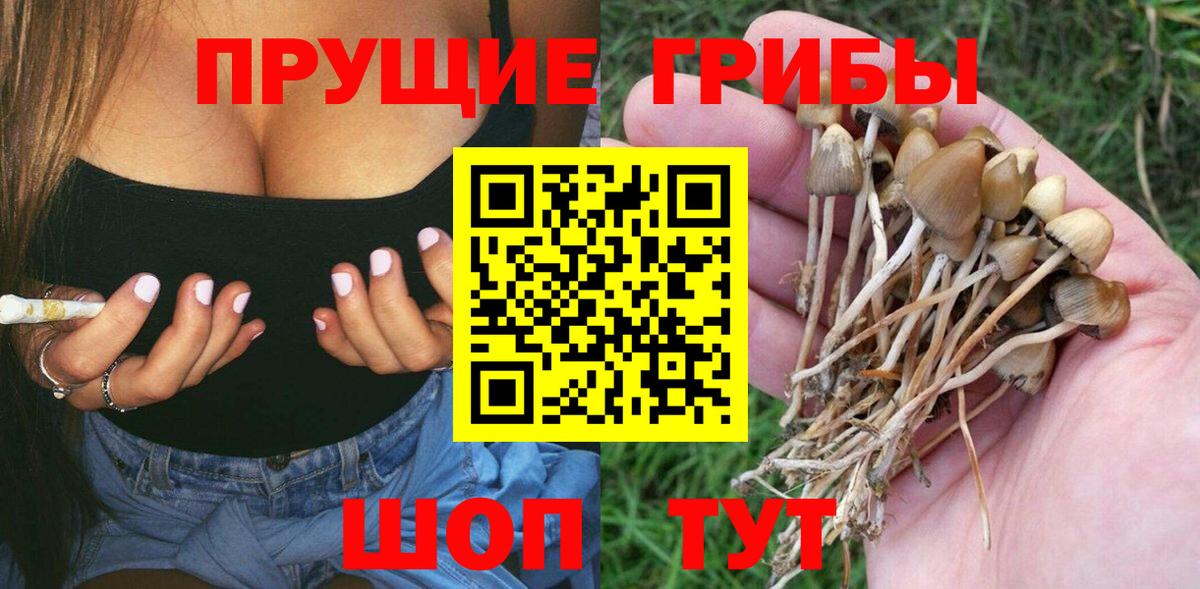 Псилоцибиновые грибы прущие грибы  Вход с VPN  Чайковский 